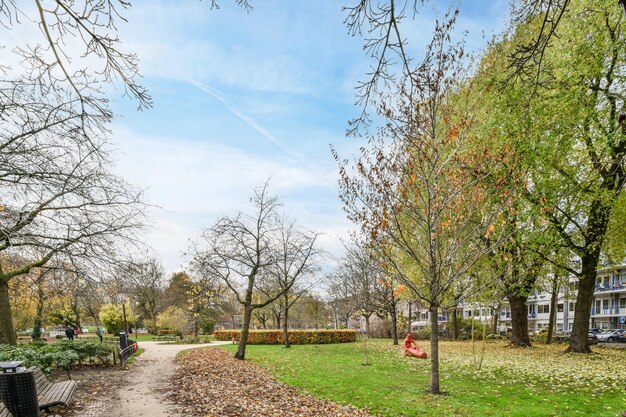 A park with trees and a path in the grass