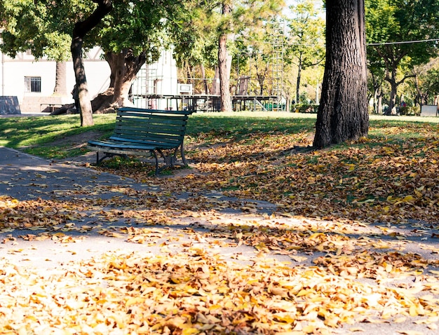 Parkbank in de herfst met de grond bedekt met bladeren