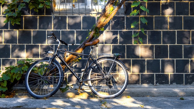 建物の壁と木のそばに駐車した自転車