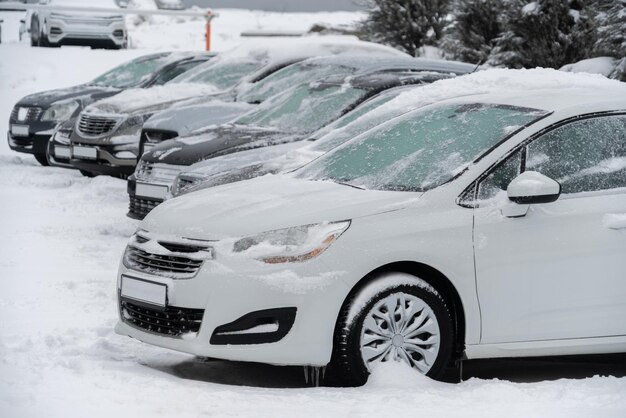 Parked cars covered with snow