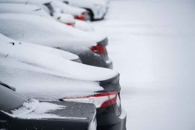 Parked cars covered with snow