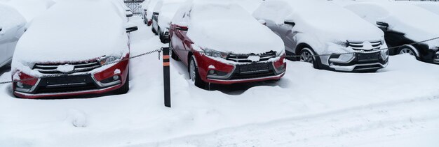 Parked cars covered with snow