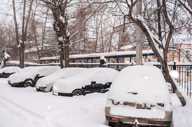 Припаркованные заснеженные машины во дворе зимой облачным утром.