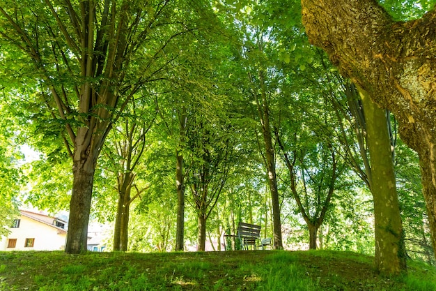 Parkeer in de gemeente Lezo, het kleine kustplaatsje in de provincie Gipuzkoa, Baskenland