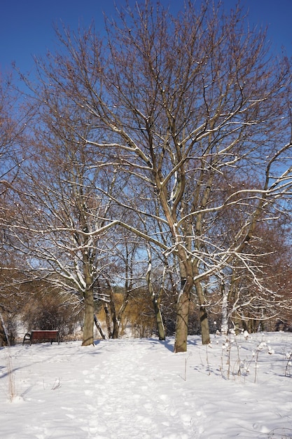 Parkeer in de winter overdag