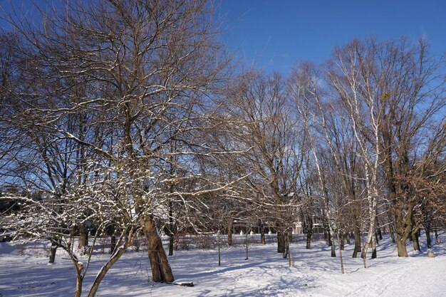 Parkeer in de winter overdag