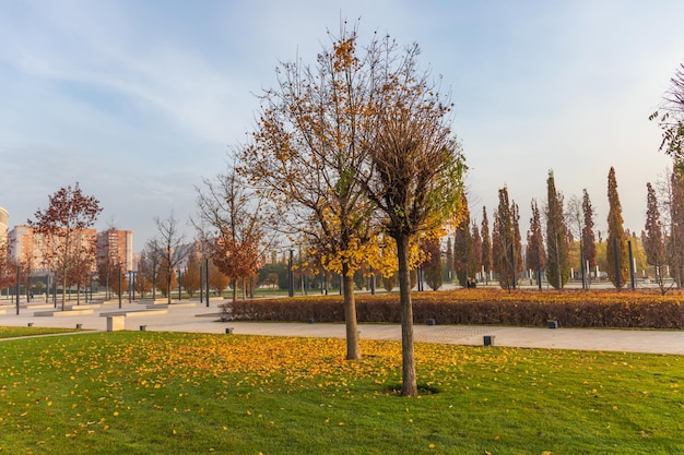 Parkeer tijdens het herfstseizoen