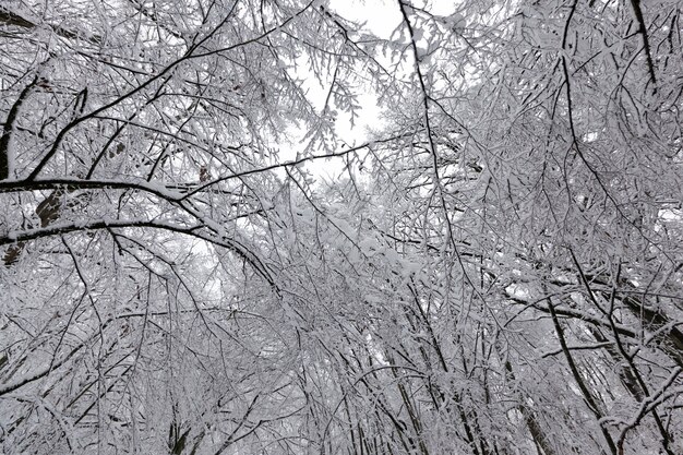 parkeren in de winter