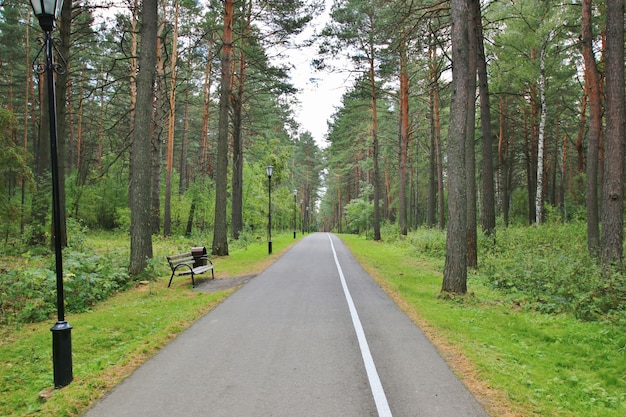 Parkgebied met goede weg en banken