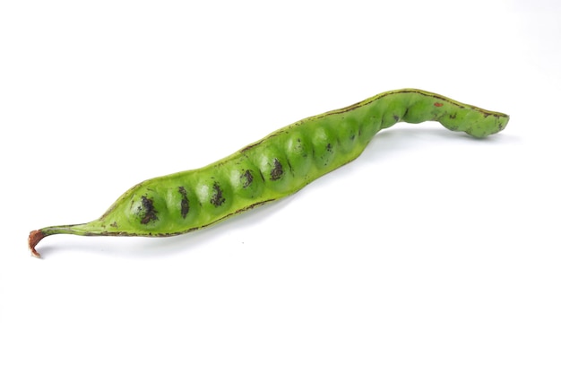 Parkia speciosa isolated on a white background