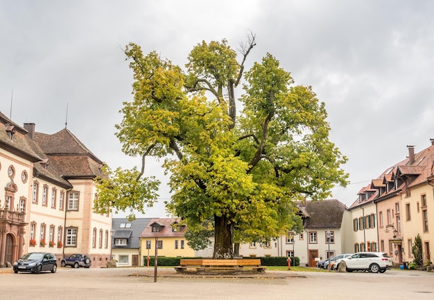 Parking lots of Abbey of Saint Peter of Schwarzwald