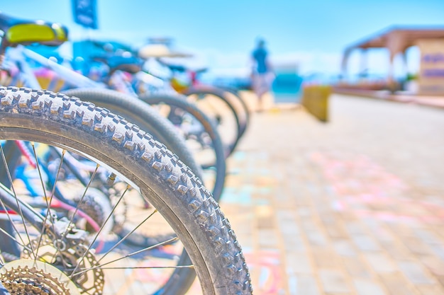 海辺に自転車がある自転車用の駐車スペース