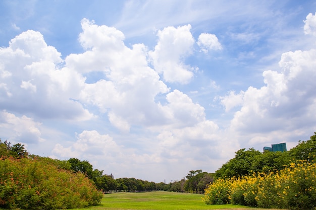 公園と明るい空。