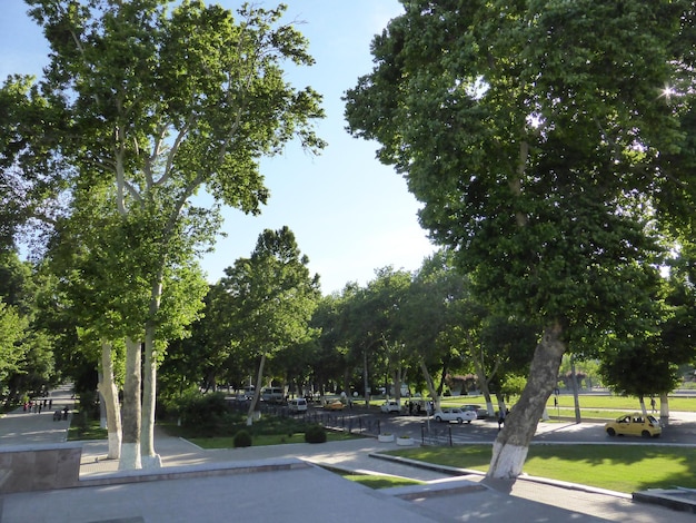 Parks of the city of Samarkand in the summer season