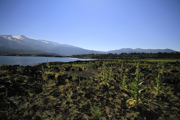 Parque Nacional Conguillo Chile