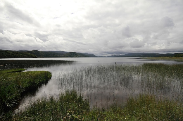 Parque nacional de chiloe