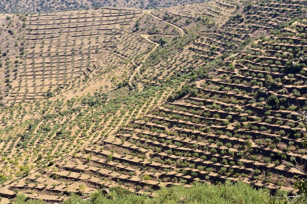 Parque Natural do Douro Internacional пейзаж возле Сапинья-Эскалао, Гуарда, Португалия