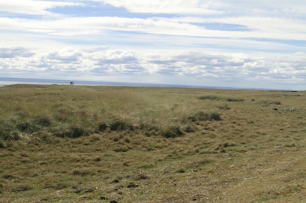 Parque Pinguino Rey King Penguin-park op Tierra del Fuego