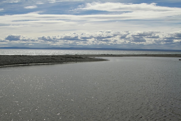 Parque Pinguino Rey King Penguin-park op Tierra del Fuego