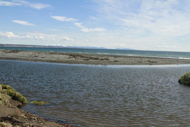 Parque Pinguino Rey King Penguin-park op Tierra del Fuego