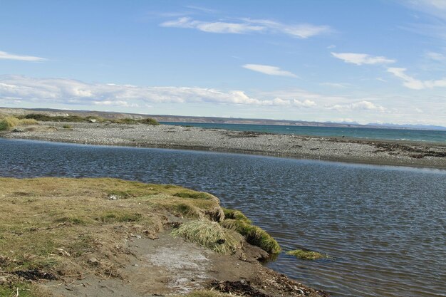 Parque Pinguino Rey King Penguin park on Tierra del fuego