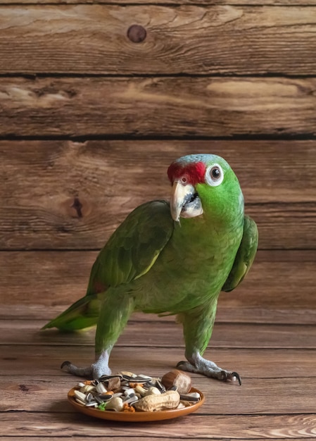 Еда попугая разбросана на деревянном столе. Зеленый амазонский попугай ест еду.