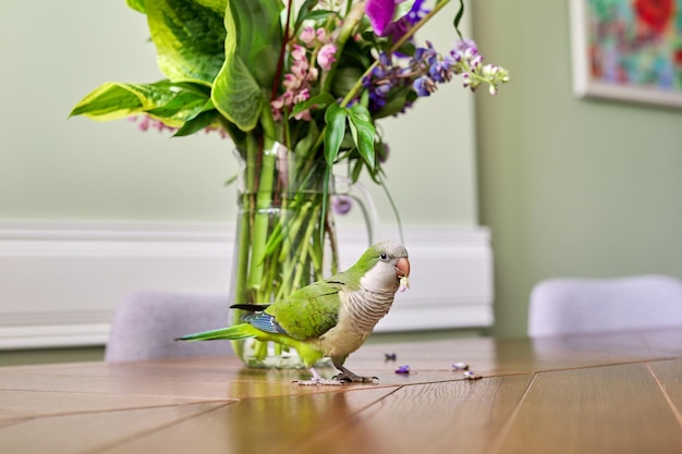 Parrot green quaker pet and bouquet of flowers on the table