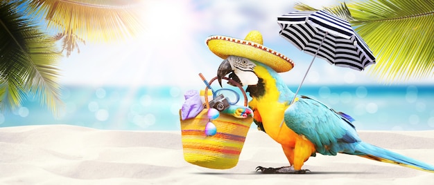 바다 근처의 모래 해변에 앵무새. 해변 휴가 배경.