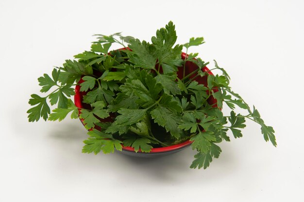 Parsley in a bowl isolated