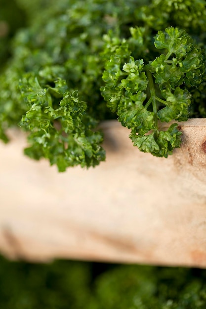 Parsley in a box