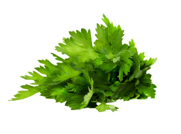 parsley bunch isolated on white background