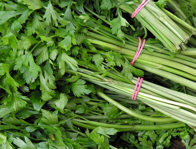 Photo parsley green leaves