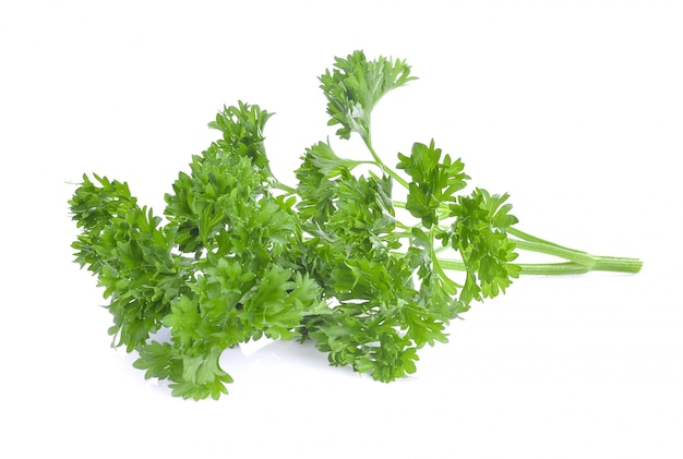 Parsley herb isolated.