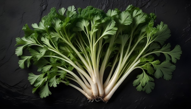 Parsley on an isolated black background