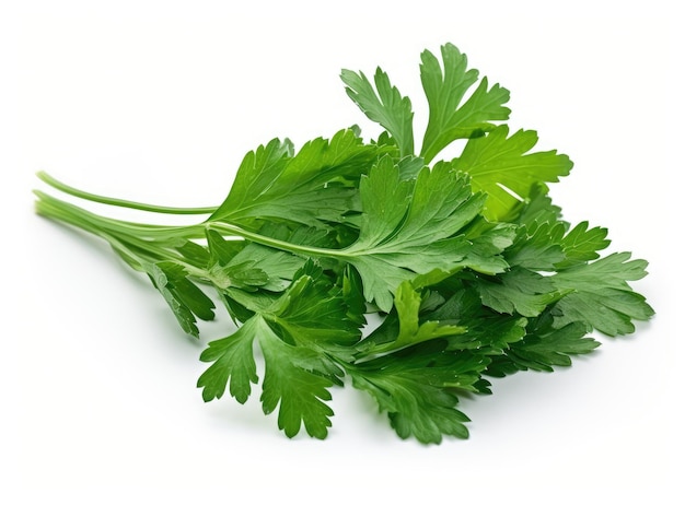 Parsley isolated on a white background with a clipping path