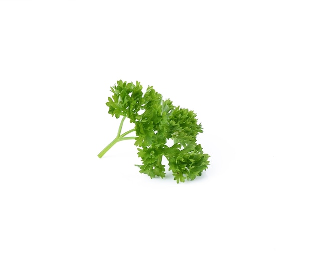 Parsley isolated on white background