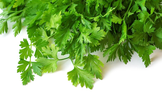 parsley isolated on white background