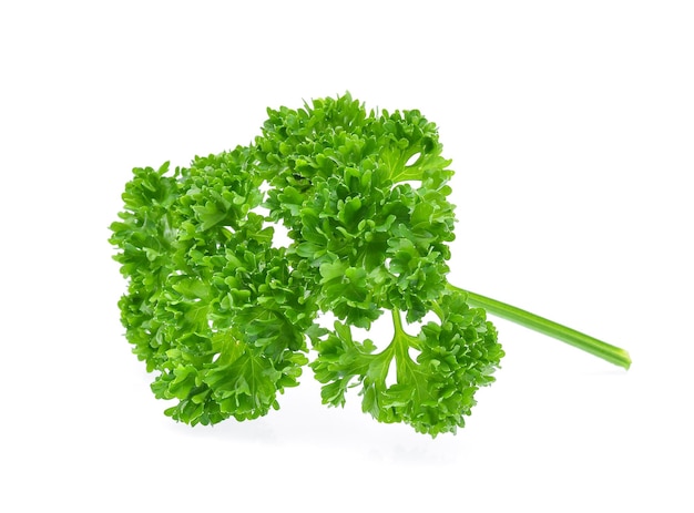 Parsley isolated on white background