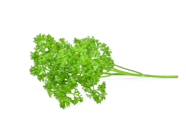 Parsley isolated on white background