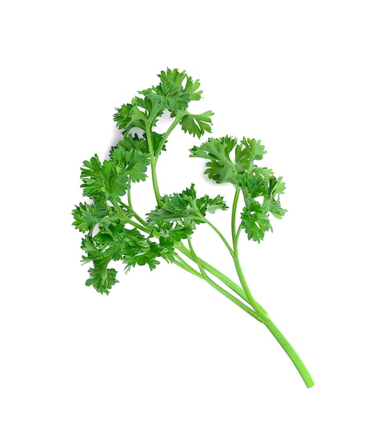 Parsley isolated on white background