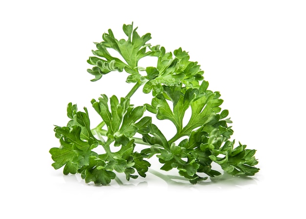 Parsley isolated on white background