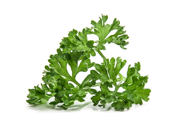 Parsley isolated on white background