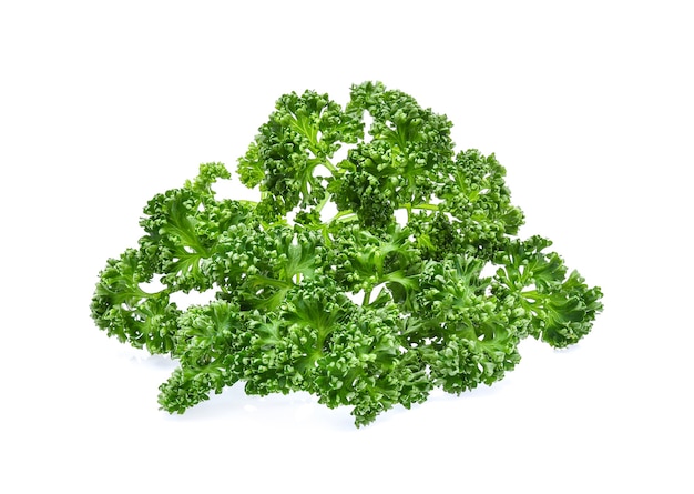 Parsley isolated on white background