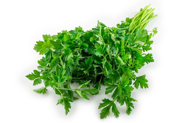 Parsley isolated on white background