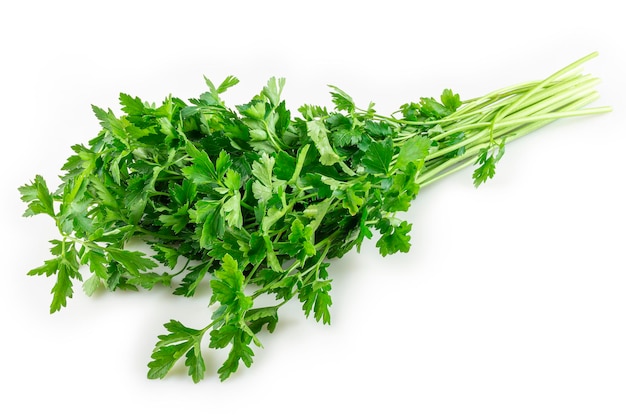 Parsley isolated on white background