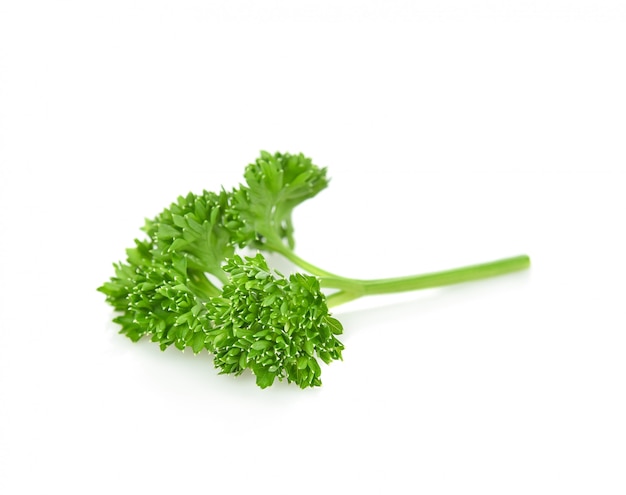 Parsley isolated on white background