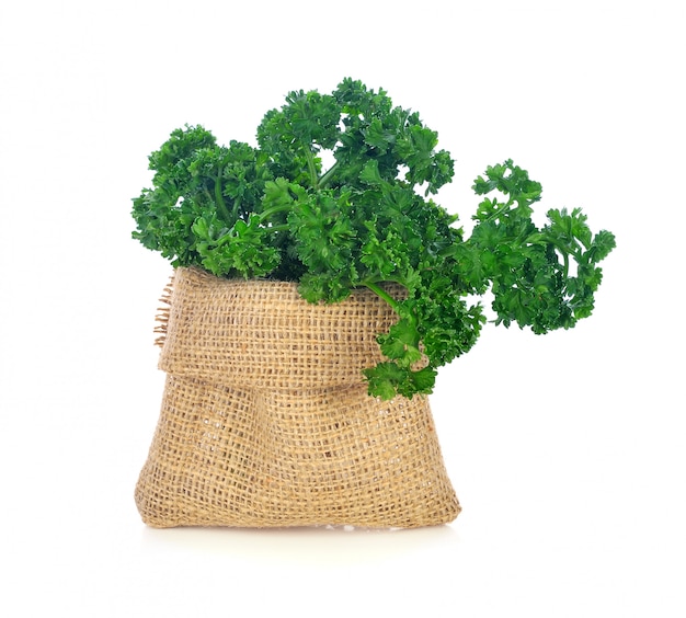 Parsley isolated on a white background