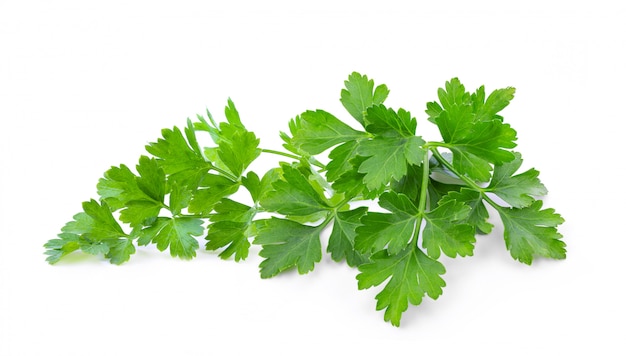 Parsley isolated on white