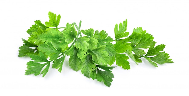 Parsley isolated on a white