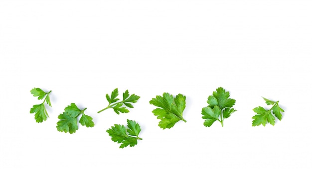 Parsley isolated on a white